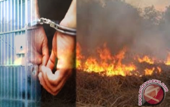 Sejak Januari 2015, Sembilan Pembakar Lahan Ditangkap Polisi